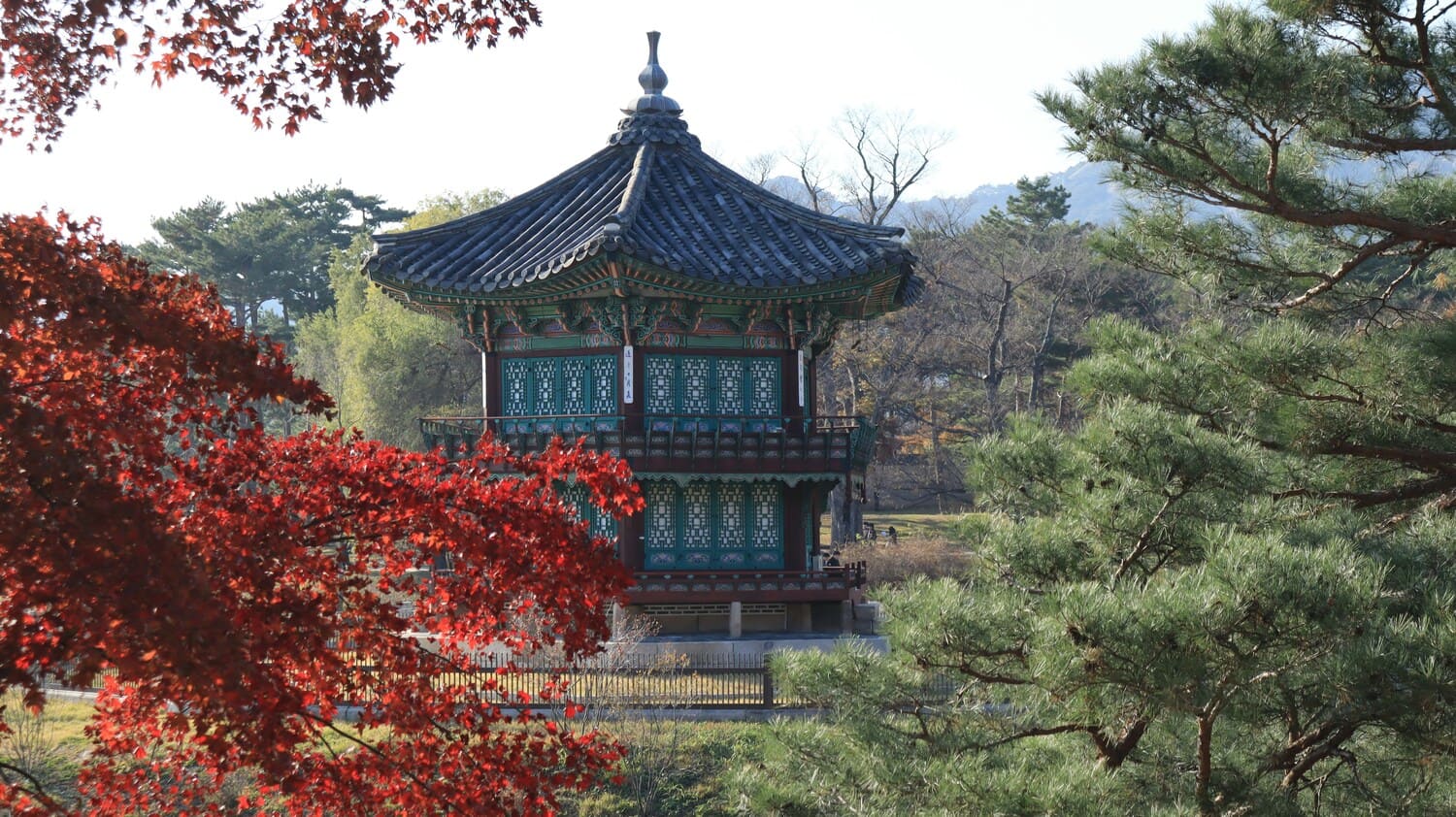 부산 자갈치시장: 해산물 길거리 음식의 성지